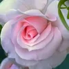 userab3ma9d2h