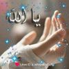 user2461521186694