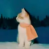 aleyaqvxsi02