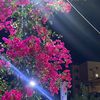 assil_ybb
