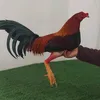 galleracharli