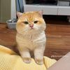 ecahhhh_02