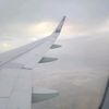 abomohamad_99