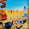 dardar.comme.officiel