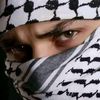 mohamed.elroby084