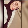 malak__mahmouddd