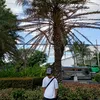 angelo.eborde