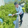 lykingboy