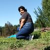 alejandraramos4543