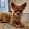 la_pequena2