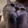 thaiteaa_183