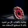 wwwhayat1666gmail.com