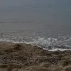 rrldae