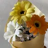 dnttellme