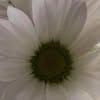 noha.ayoub8
