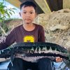 safwan_671