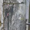 uservpg5191w9n