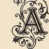 alizebp