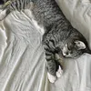 user_7913