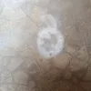rzy_55