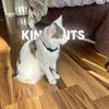 kingran_editzz