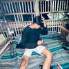 hilelzz.ae