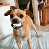 pedromiocuore81