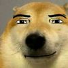 bsnsn012