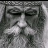 dragontv288