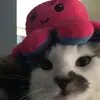 kzhyyhxr