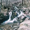 isalys65