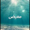 moedh1000