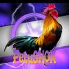 petushok.andyfy_7