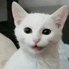 littlebunnybun420