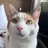 teefs_and_beans