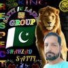 shahzadsatti692