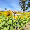 thanidasupakaew