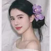 embexinh228