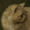 xwzra