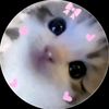 frxzzzz3