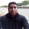 tigre0126