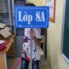daoducviet12