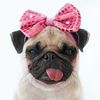pugsitabebe