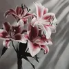 kimhuyen0091