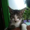 eftaeheftaeh