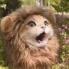 king30678_