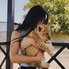 alieva_xss
