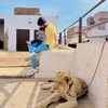 syedsummershah512