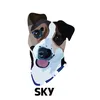 sky24062017dat