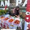 spicywingspacet1